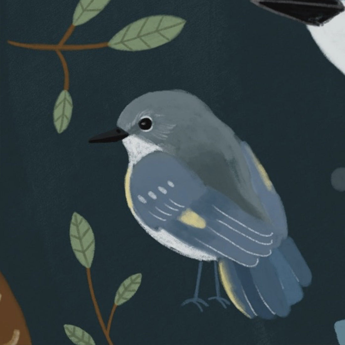 redstart bird illustration for greeting card