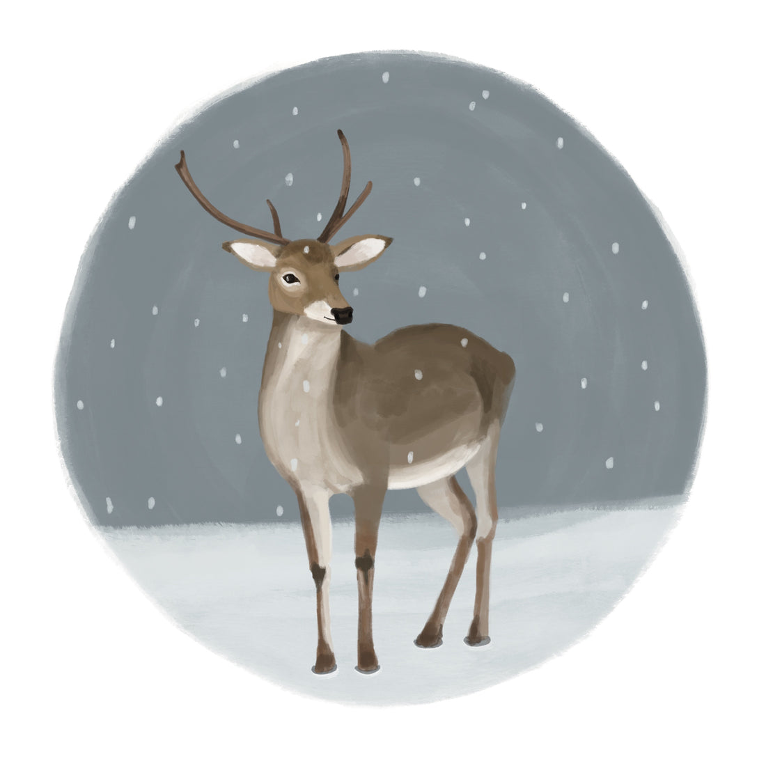 First Snow