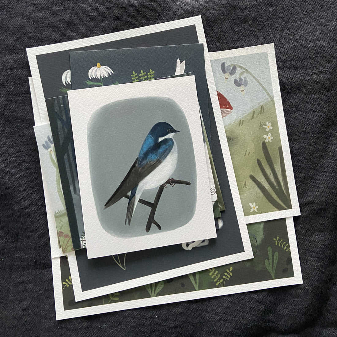 New Outdoor Cards and Art Prints