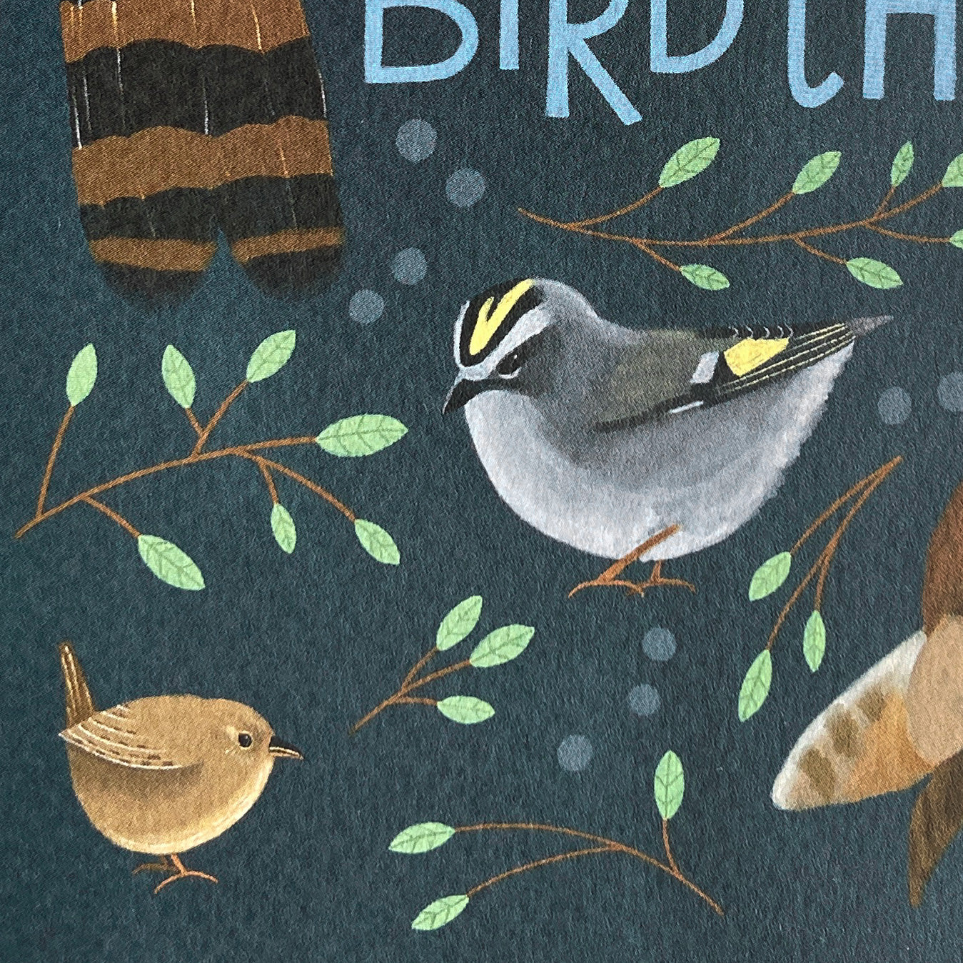 Bird birthday card, detail of kinglet and wren on dark blue background