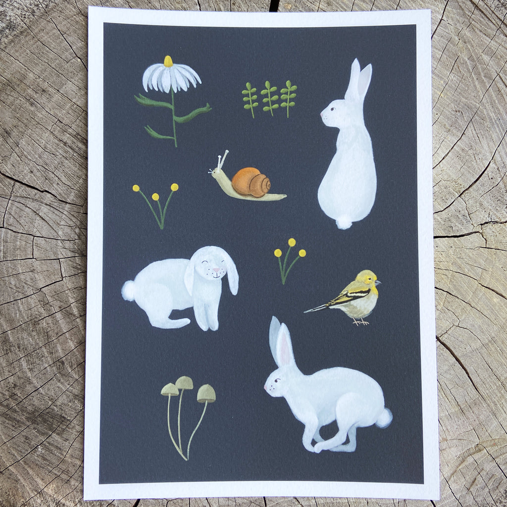 Illustrations of animals and plants on a dark background, placed on a wooden surface.