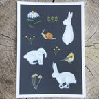 Illustrations of animals and plants on a dark background, placed on a wooden surface.