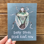 Funny Stink Bug Sympathy Card