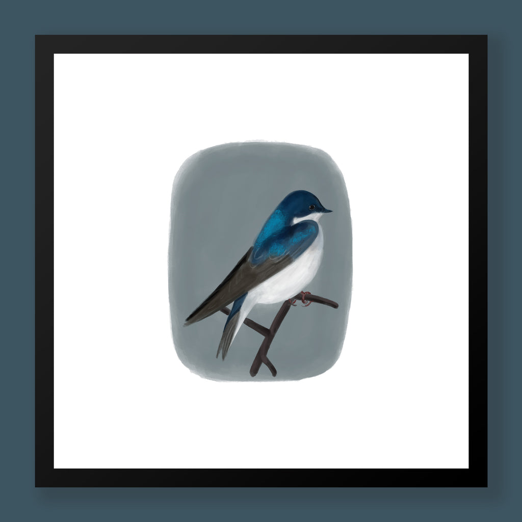 Framed artwork of a blue and white bird on a gray background