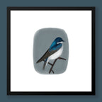 Framed artwork of a blue and white bird on a gray background