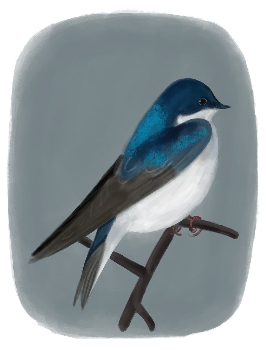 Illustration of a blue and white bird on a gray background