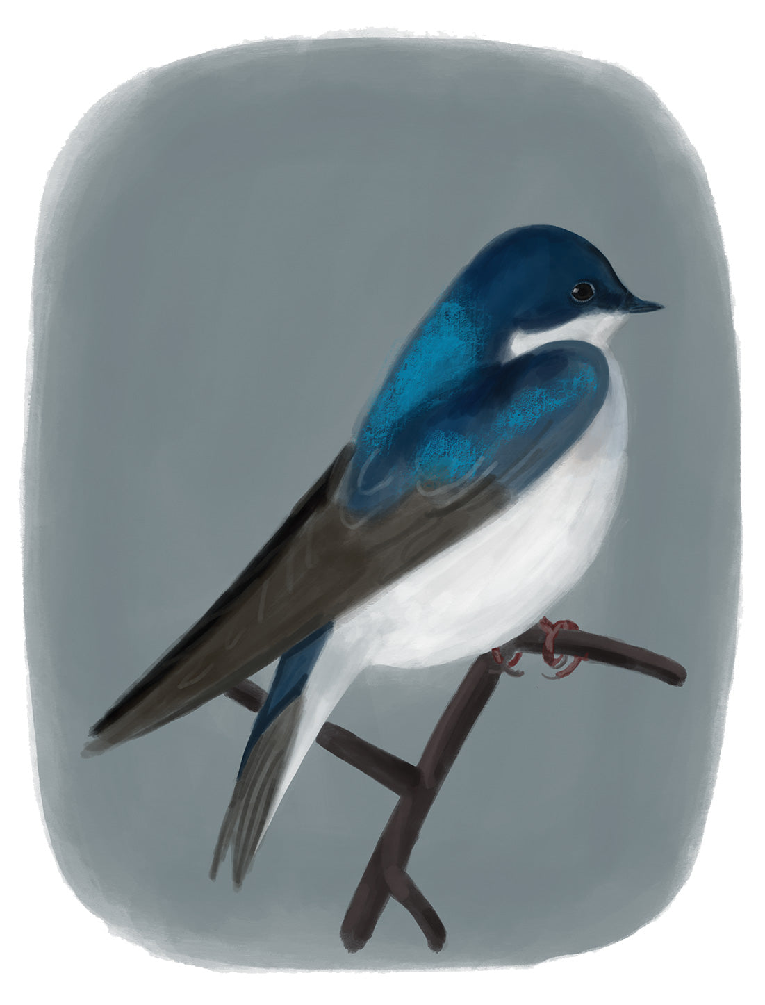 Illustration of a blue and white bird on a gray background