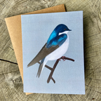 Tree Swallow Greeting Card